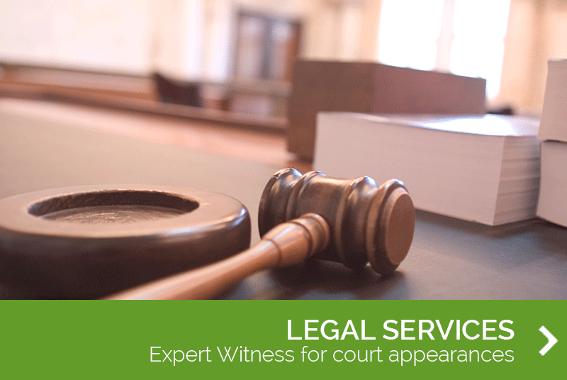 legal-services-main