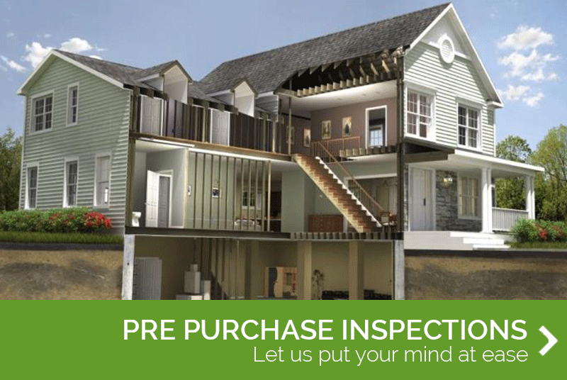 pre-purchase-inspections-main